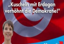 AfD’den Türk bayrağı skandalı